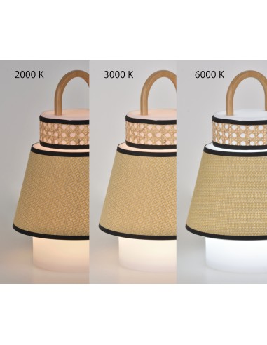 Lampe baladeuse Singapour Outdoor Market set - rechargeable USB à poser - coloris miel (Honey)