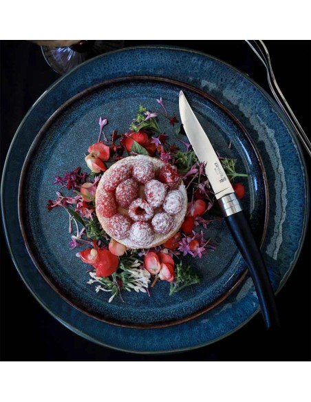 Coffret Opinel Table Chic 4 couteaux ébène - classique et moderne - silhouette élégante Coffret Opinel Table Chic 4 couteaux ébène - classique et moderne - silhouette élégante