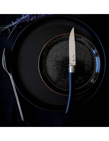 Coffret Opinel Table Chic 4 couteaux ébène - classique et moderne - silhouette élégante