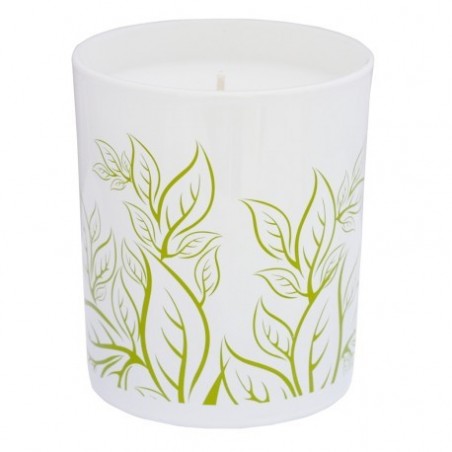 Bougie parfumée Figuier Sauvage 190g Balamata En corse