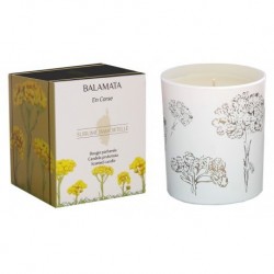 Bougie parfumée Sublime immortelle 190g Balamata En corse