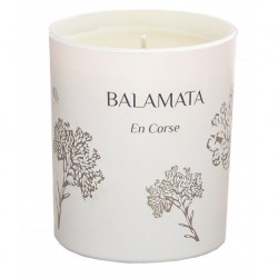 Bougie parfumée Sublime immortelle 190g Balamata En corse 2