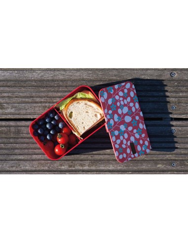 Lunch box Primavera
