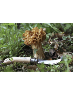 Couteau Opinel N°8 à champignons 2
