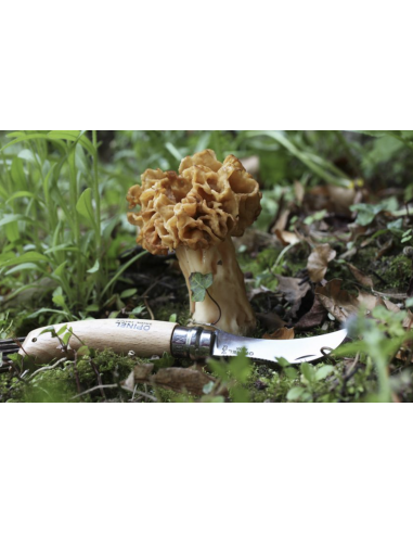 Couteau Opinel N°8 à champignons