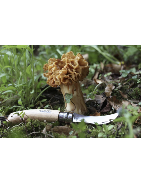Couteau Opinel N°8 à champignons