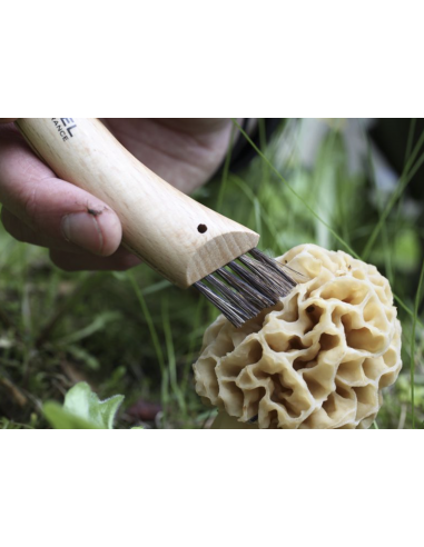 Couteau Opinel N°8 à champignons