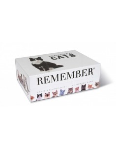 Jeux De Memory Des Chats
