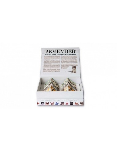 Jeux De Memory Des Chats